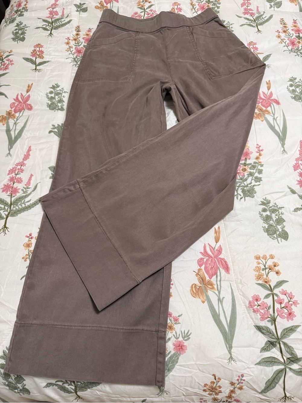 Joie Elastic Waist  Pants in Taupe Brown